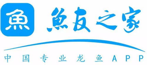 長城專訪｜魚友之家 多形態展示背后的唯一服務宗旨——數字文化創意內容應用服務的創新實踐